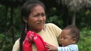 Latin America: Families