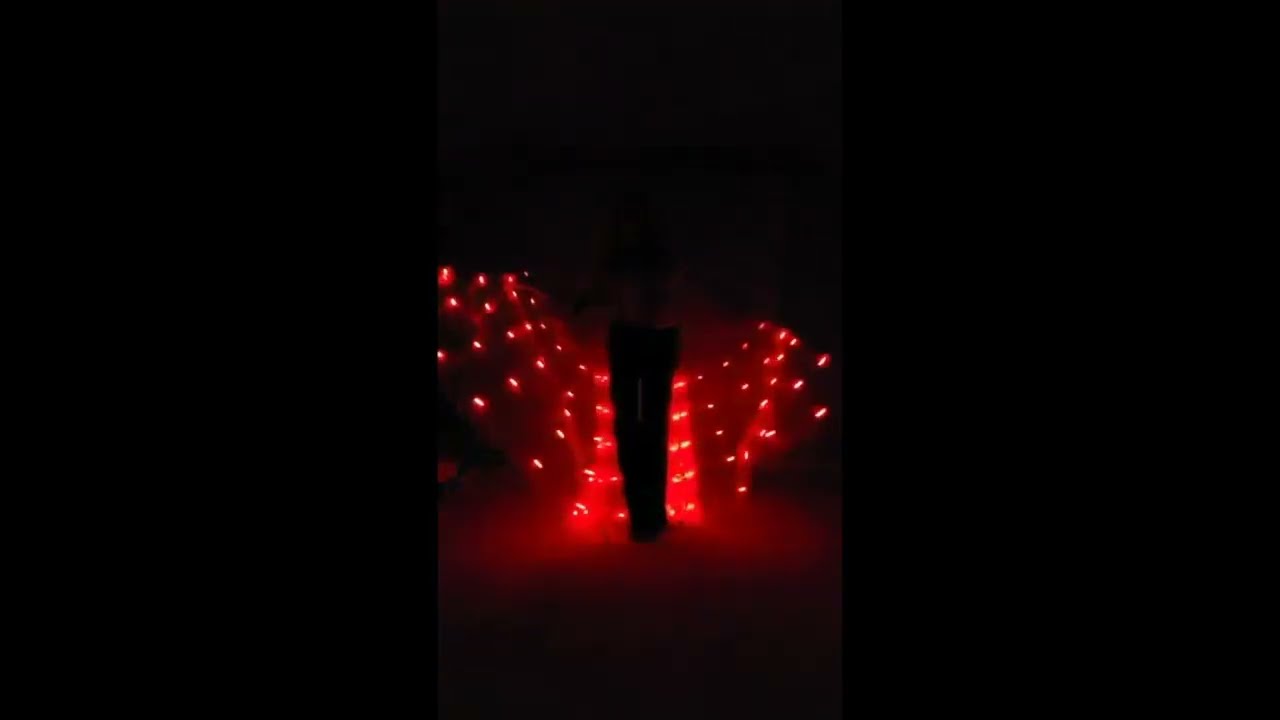 Promotional video thumbnail 1 for DandiLion Circus Arts