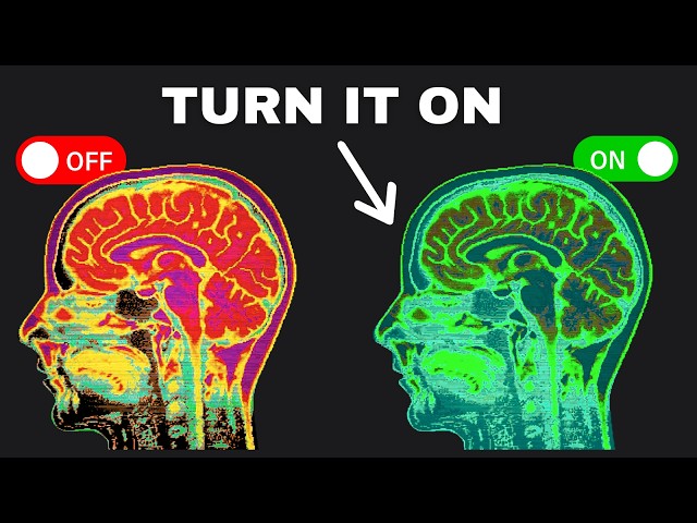 Understanding the Glymphatic System: How to Clean Your Brain ...