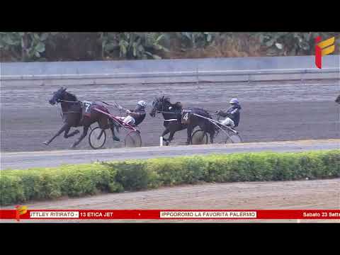 VII Corsa del 23 Settembre 2023 - 3 Anni - Metri 1600 - Gentlemen