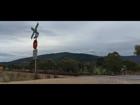 Melbourne to Sydney XPT at Tanyinna, NSW, Australia.
