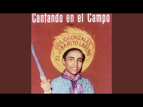 Que Mala Suerte La Mía (Seis Fajardeño)