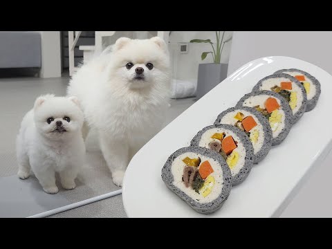 I'm so happy that I can eat the same thing as my puppies (feat. kimbap)