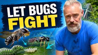 Let These Bugs Fight Your Garden Pests