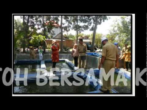 Cara membuat exciter video yang perempuan Torus membeli anak jas dengan palu