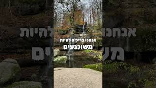 הכל זה בהשגחה פרטית (הרב אייל עמרמי) - התמונה מוצגת ישירות מתוך אתר האינטרנט יוטיוב. זכויות היוצרים בתמונה שייכות ליוצרה. קישור קרדיט למקור התוכן נמצא בתוך דף הסרטון