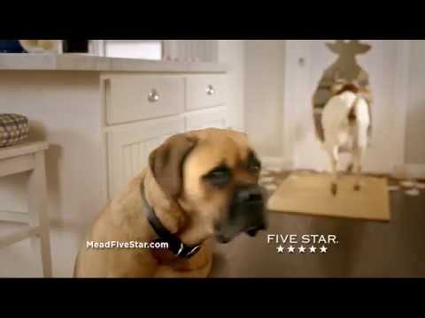 Cinco & Goat vs. Five Star Flex®