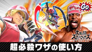 【スマブラSP】時代を風靡した神システム！テリーの超必殺ワザの使い方