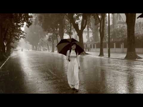 Lối cũ em về - Hùng M Nguyễn