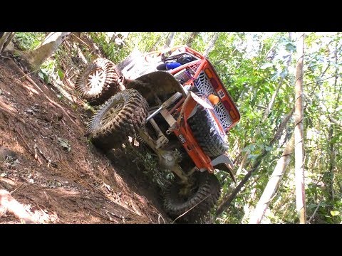 BORNEO SAFARI 2018 - By; K'NetH De CrockeR (SS10 - Part4) (Part44)