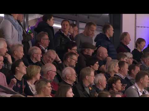 Feinrich-Hengstvorführung Verden 2019