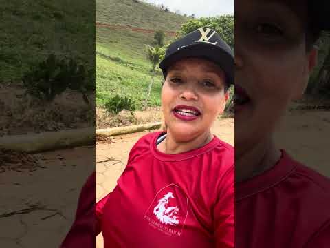 CAMINHANDO NAS ESTRADAS DO MUNICÍPIO DE SÃO GERALDO DA PIEDADE.