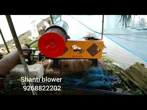 Twin Lobe Roots Blower