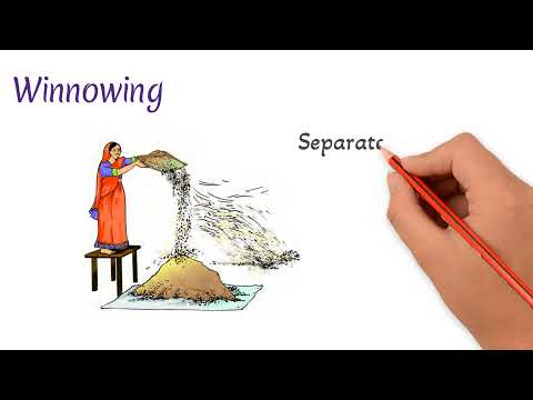 Methods of separation | Handpicking | Threshing | Winnowing | Sieving | Learn to Remember