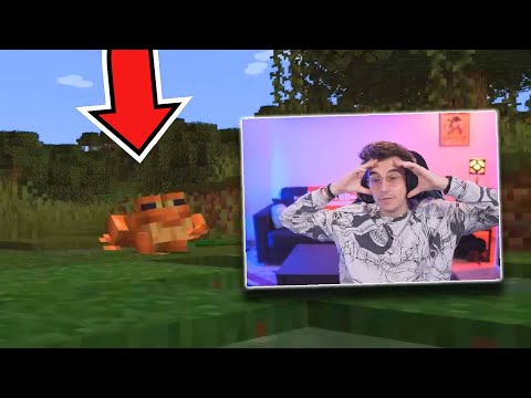 Hemerald scopre le RANE su MINECRAFT 1.19!!