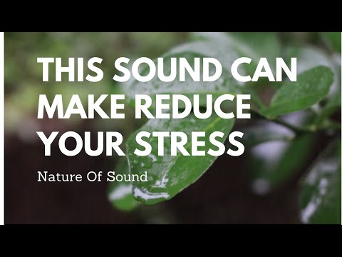 Rain Sounds with Viola And Piano Music deep Sleep, Study, Relaxing, Reduce Stress, insomnia