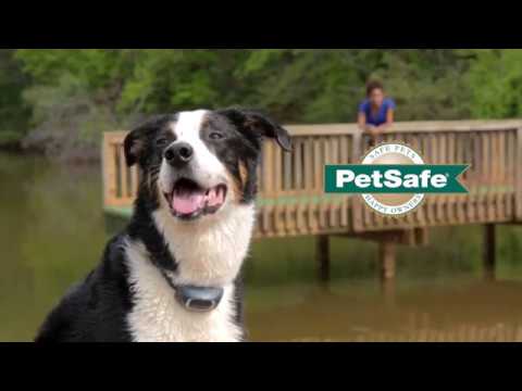 download lagu mp3 mp4 Collier De Dressage Petsafe, download lagu Collier De Dressage Petsafe gratis, unduh video klip Collier De Dressage Petsafe