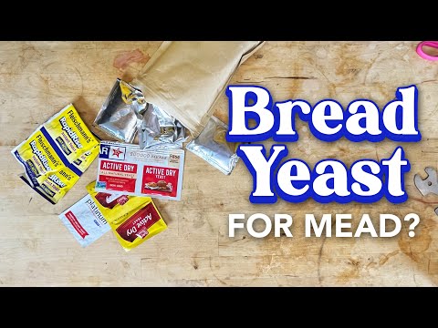Comparing FIVE bread yeasts in homemade meads (any good?)