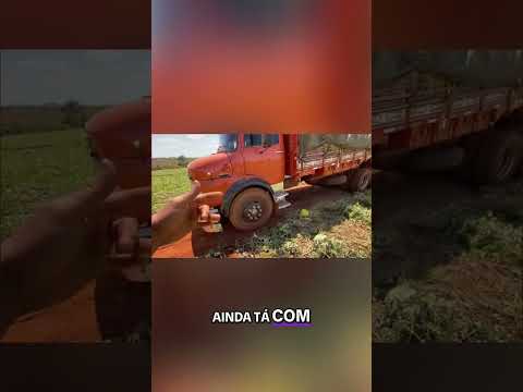 Carregando Melancias em Uruana: O Destino Surpresa! #shorts