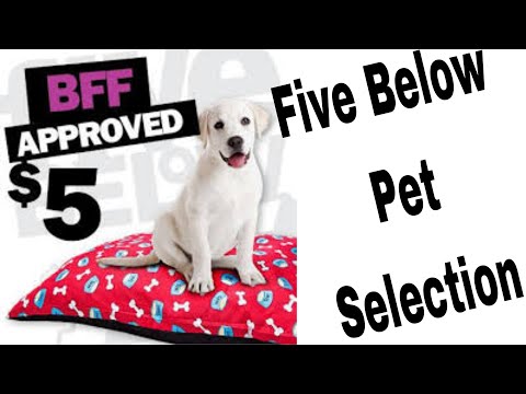 YouTube video about: Does five below allow dogs?