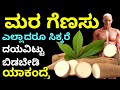 ಮರಗೆಣಸು ಎಲ್ಲಾದರೂ ಸಿಕ್ಕರೆ ಬಿಡಬೇಡಿ ಏಕೆಂದರೆ kannada health tips