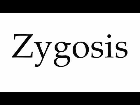 How to Pronounce Zygosis