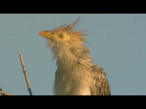 Bañados y aves en la orilla del camino Esperanza Santa Fe Argentina 2025