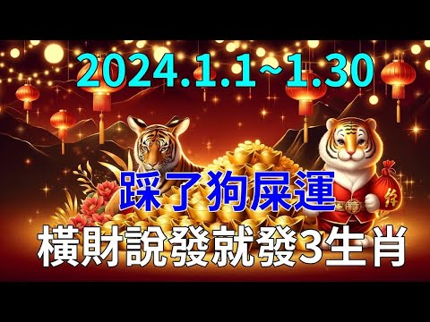 踩屎風水