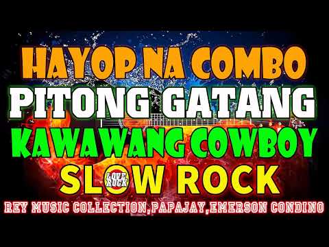 PITONG GATANG,HAYOP NA COMBO✅BEST SLOW ROCK LOVE SONGS NONSTOP BY REY MUSIC, PAPAJAY, EMERSON, BUDDY