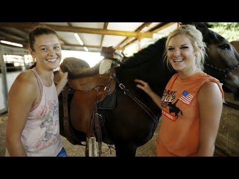 download lagu mp3 mp4 Mule Rodeo, download lagu Mule Rodeo gratis, unduh video klip Mule Rodeo