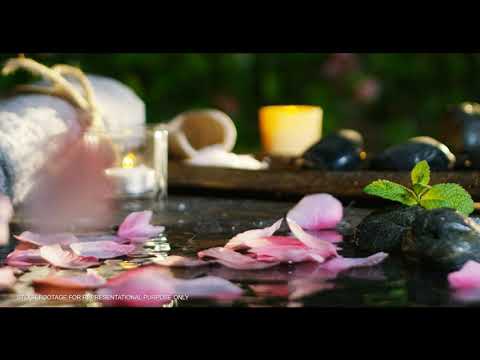 Walkthrough Walkthrough