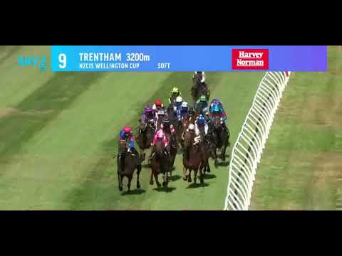 2022 WRC WELLINGTON Cup