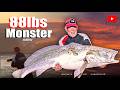 Night Fishing For MONSTER KOB ASFN Rock Surf