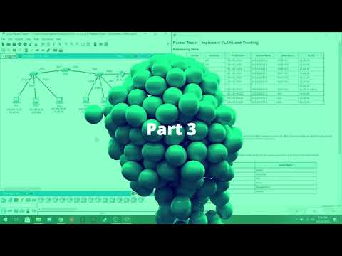3.6.1 Packet Tracer  - Implement VLANs and Trunking