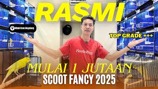 Download lagu IN MAGELANG‼️ KENARI, SF READY STOCK NEWEST. mp3 Download lagu IN MAGELANG‼️ KENARI, SF READY STOCK NEWEST. mp3