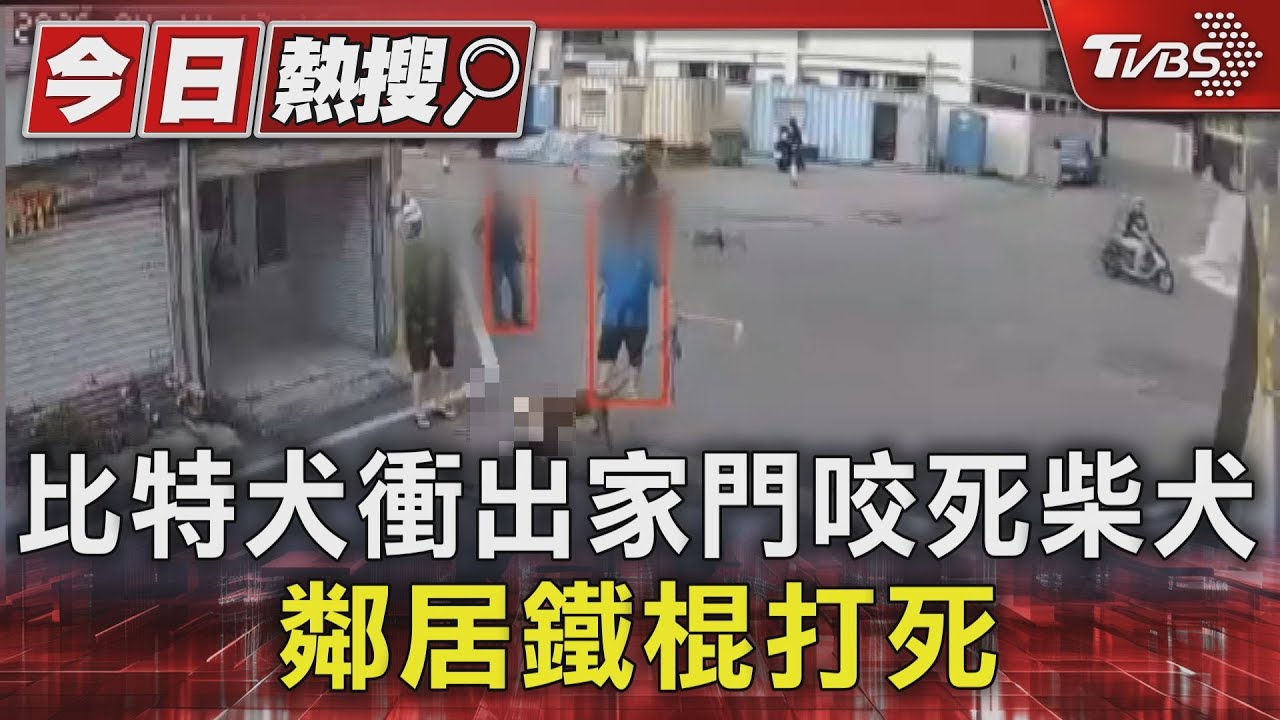 比特犬緊咬柴犬不放　眾人打彎鐵條解救　2狗皆亡