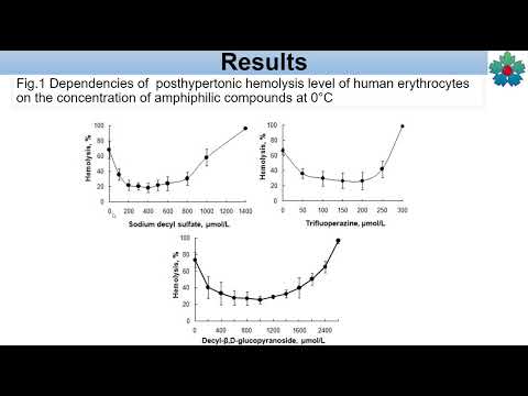 (V) S24 POSTHYPERTONIC LYSIS OF ERYTHROCYTES WHEN USING AMPHIPHILES AND VARYING TEMPERATURE