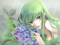 C.C. (YUKANA) -CONNECT- Image Song 