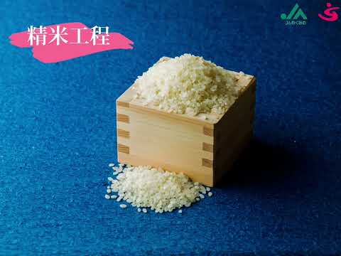 お米（精米）｜JAめぐみの×美・デザイン＆医療事務コース　産学連携授業作成動画｜中部学院大学・中部学院大学短期大学部