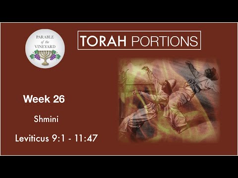 Torah Portions - Week 26 - Shmini - צַו - "Eighth" Leviticus 9:1 - 11:47