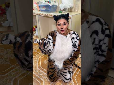 Me transformé en un gato 🐈