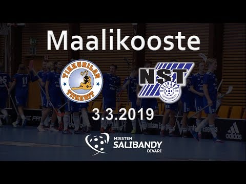 Maalikooste: Tiikerit - NST 3.3.2019