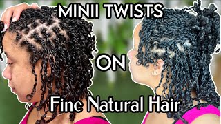 Trying MINI TWISTS on 💦 WET fine natural hair 😰| mini twists thin natural hair