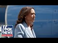 Will Momentum last for VP Harris? | Perino on Politics