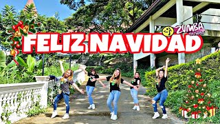 Download lagu FELIZ NAVIDAD | CHRISTMAS REMIX | ZUMBA DANCEFITNESS | ZUMBAZISTERS | ANN TEOFILO ZZ ANN mp3