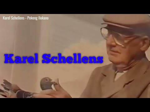The legacy of Karel Schellens - Middle Distance Champion