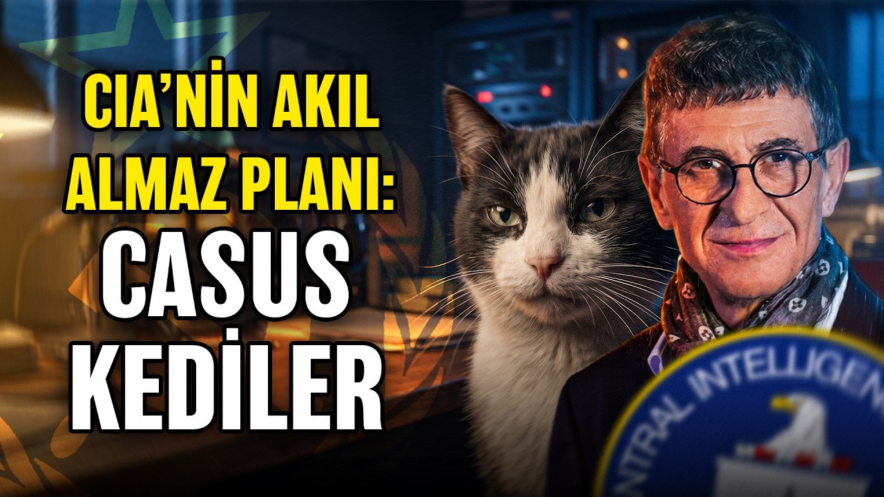 Çağdaş Meddah yayında: CIA’nin Gizli Projesi: Casus Kediler