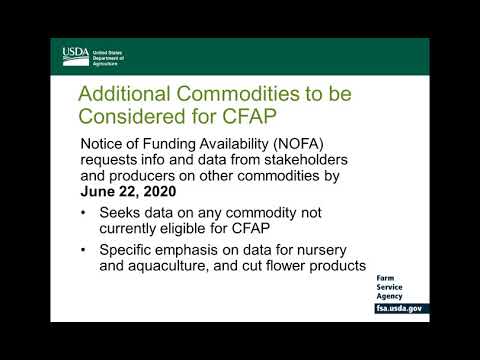 CFAP for Livestock & Non-Specialty Crop Producers