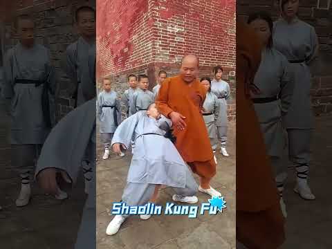 Shaolin Kung Fu Self-defense #kungfu #martialarts