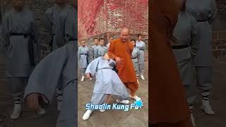 Download lagu Shaolin Kung Fu Self-defense #kungfu #martialarts mp3 Download lagu Shaolin Kung Fu Self-defense #kungfu #martialarts mp3